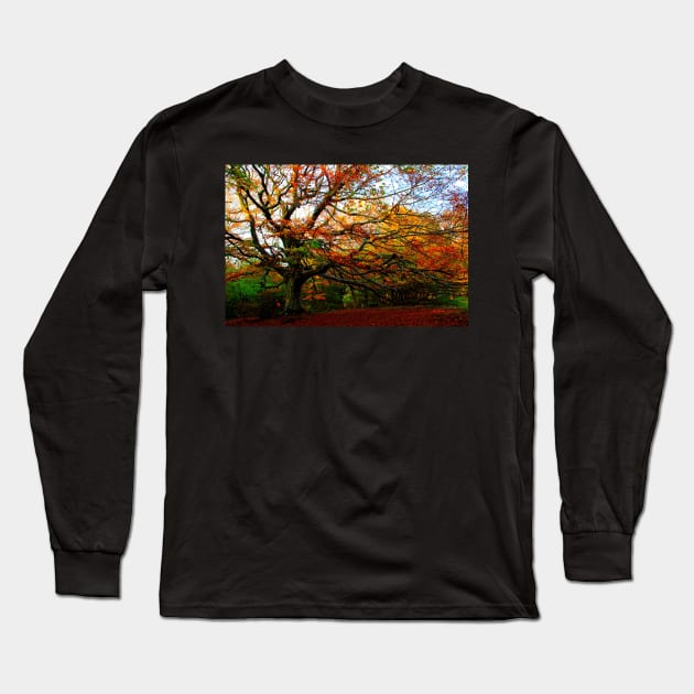 Fantastic right-curved beech tree with long branches and red leaves in Canfaito forest Long Sleeve T-Shirt by KristinaDrozd